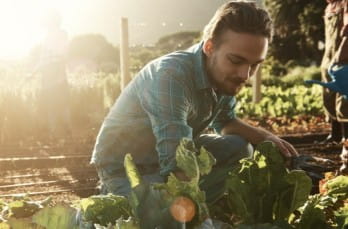 Photo of a man kneeling down in a garden at sunrise