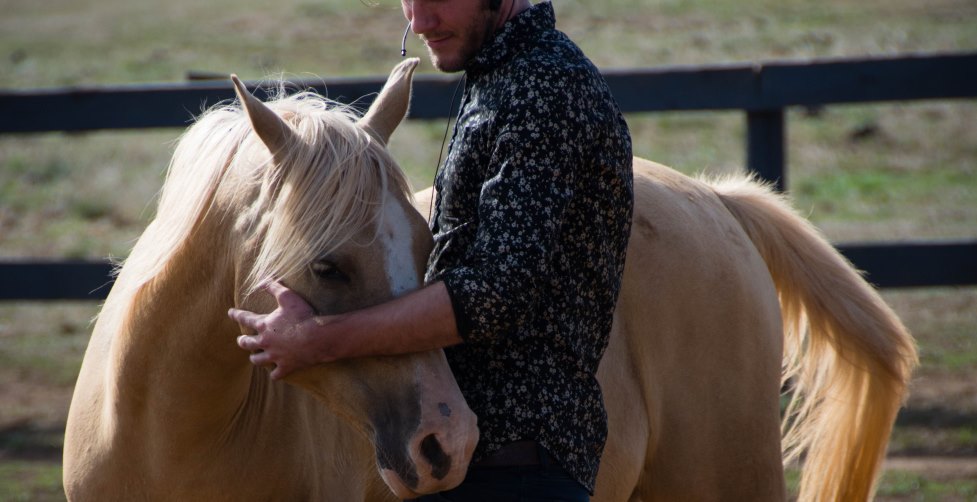 A man patting a horse