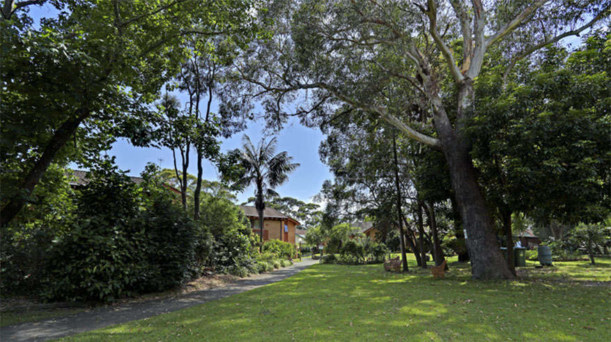 Garden at Karagi Court