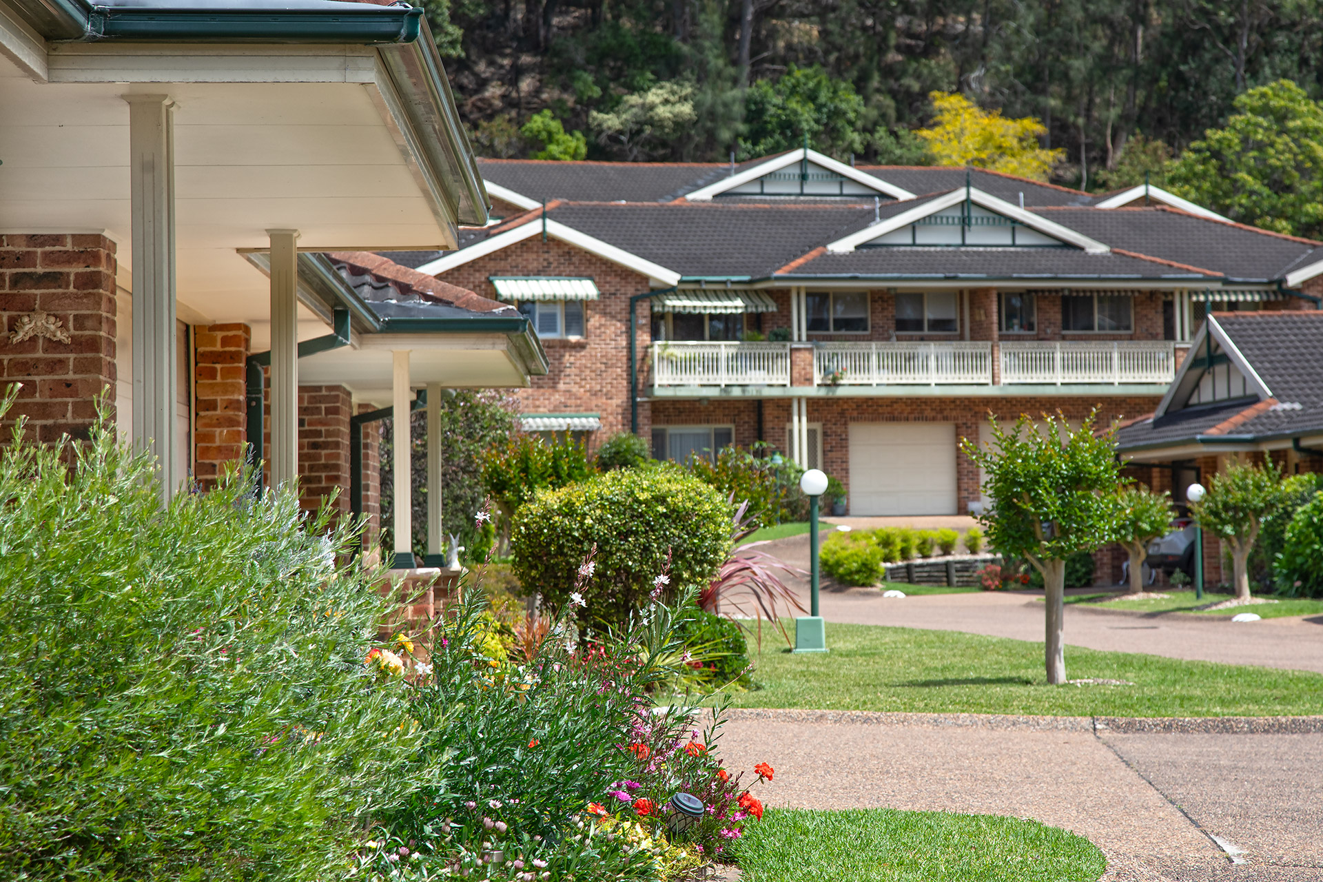 Tidy lawns and garden of retirement bungalows
