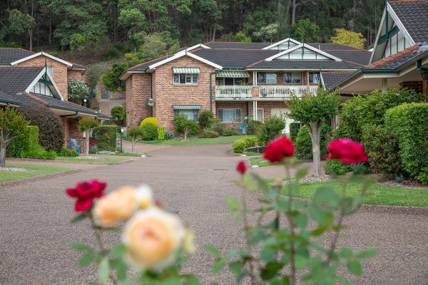 Roses along the Bungalow drive