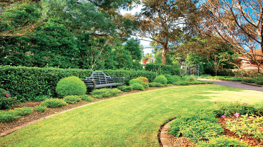 Lush green grass with hedges along the border