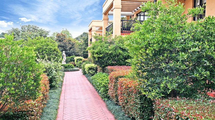 Red brick pathway surrounded by hedges and The Heritage building