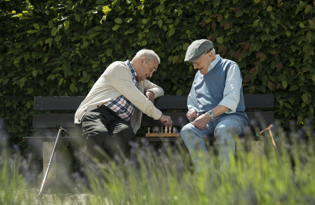 Two men playing chess in a park