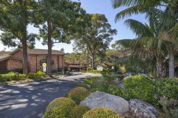 Brick buildings beneath the shady trees and palms