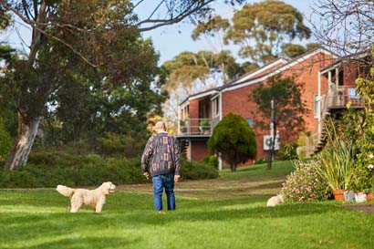 A person walks a fluffy dog on a lush green lawn in a serene neighborhood with red brick houses.