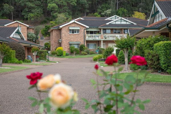 Roses along the Bungalow drive