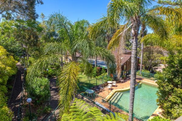 Birds eye view of palm trees, nature, and the outdoor pool