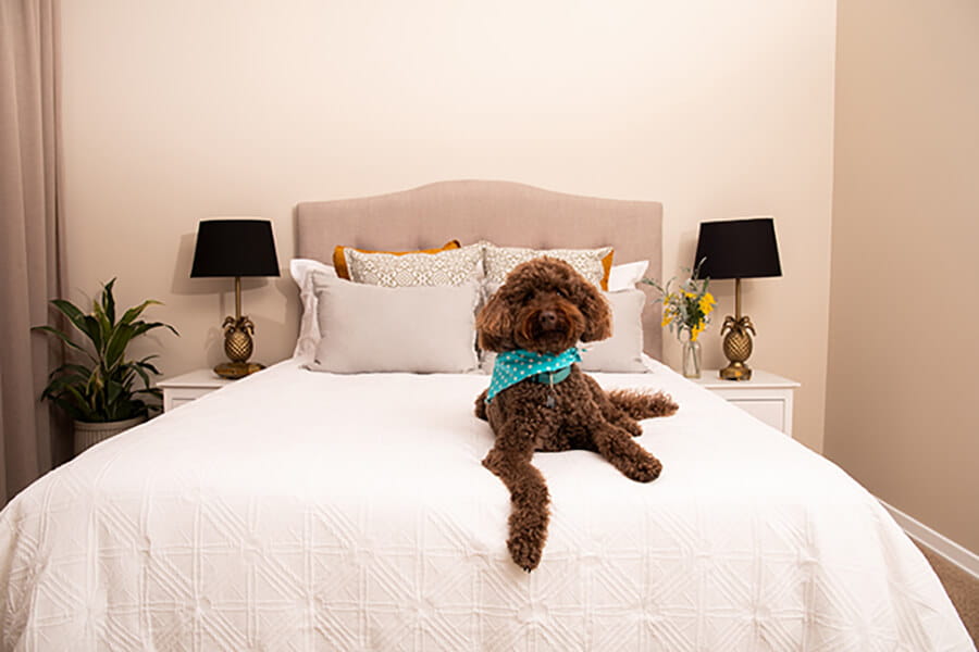 St Luke's Green bedroom