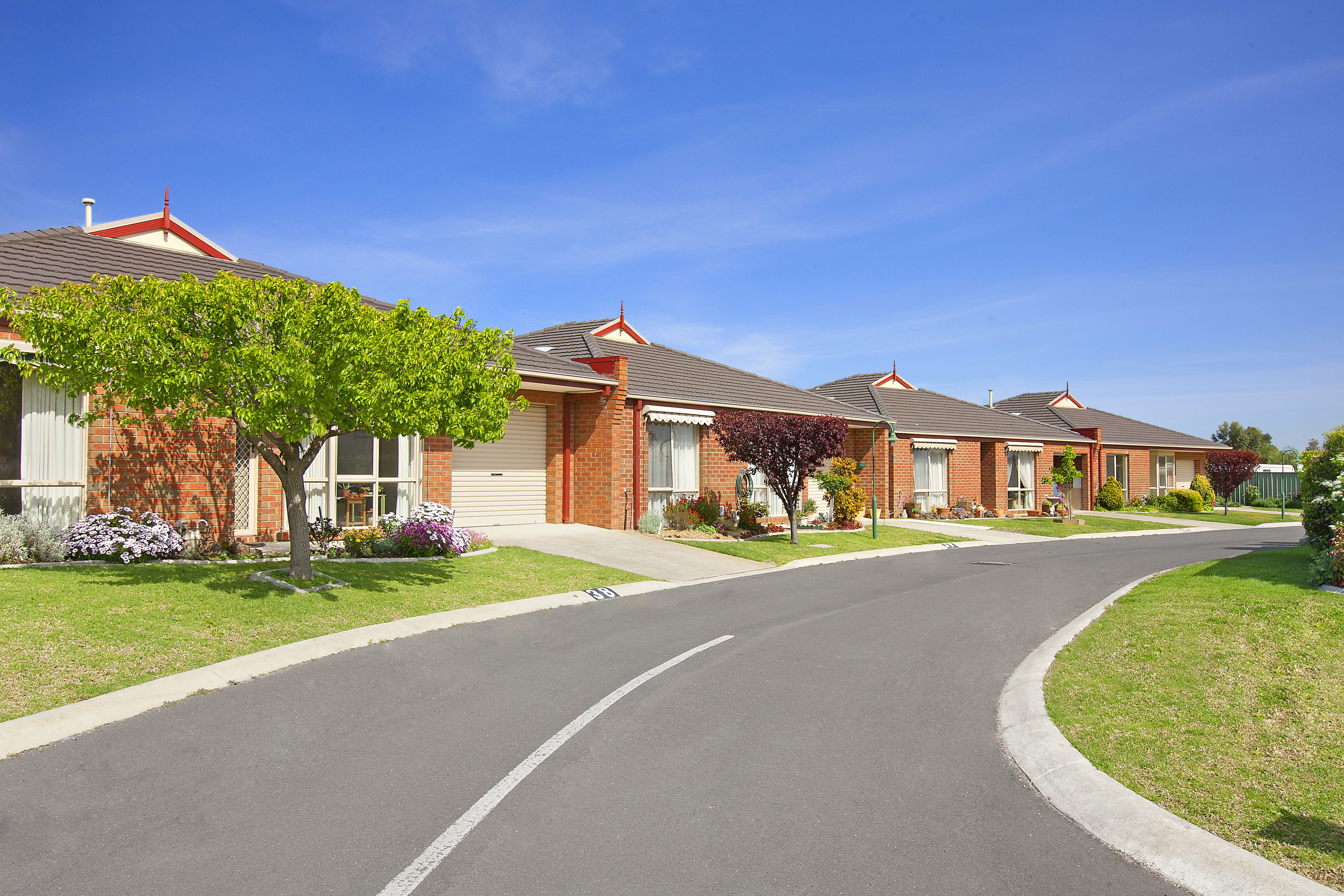Geelong Grove