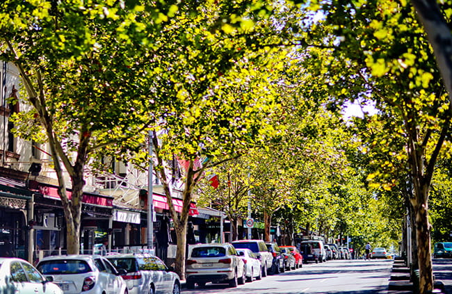 Local neighbourhood at Rathdowne Place