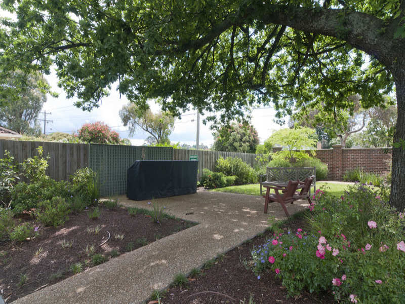 Outdoor area under a large tree
