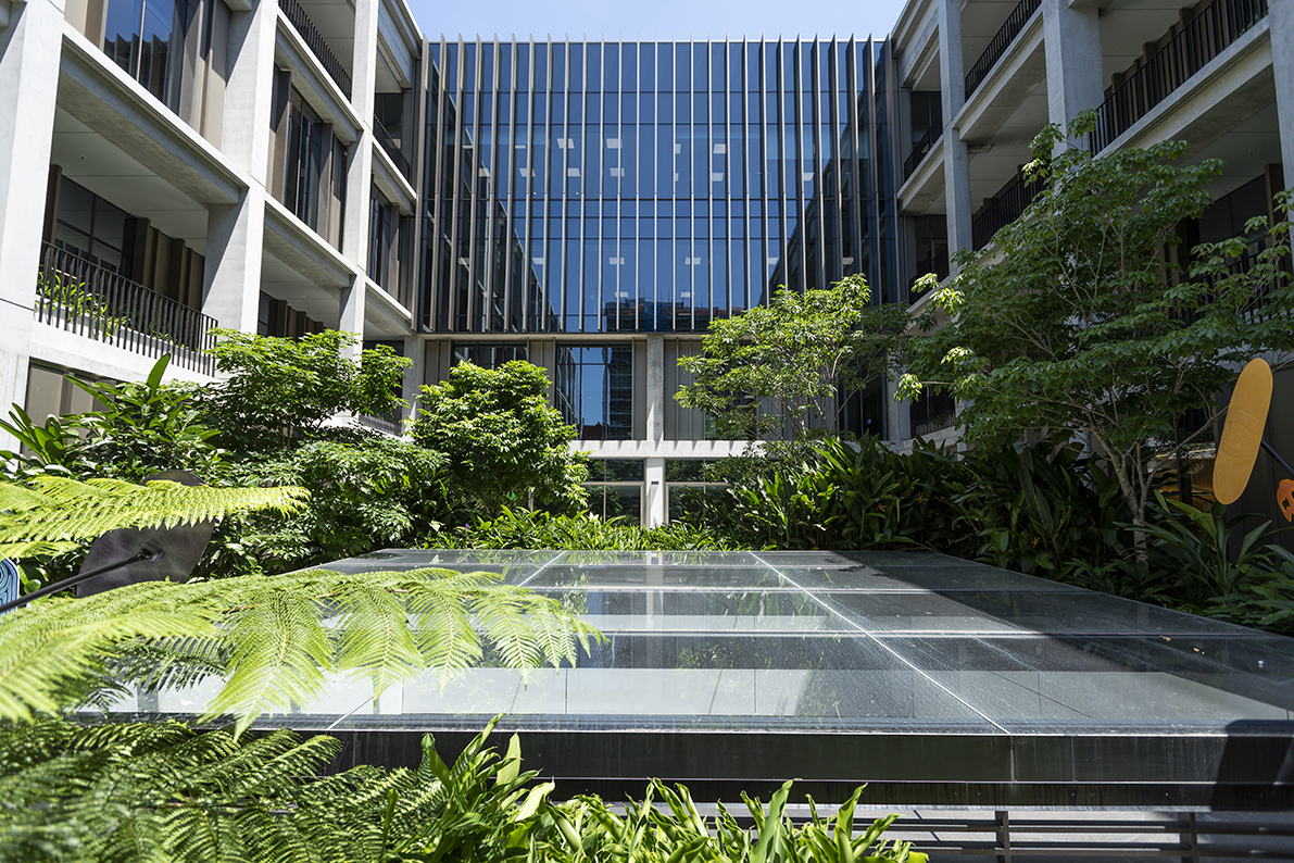 Modern lush sustainable garden in front of the hospital