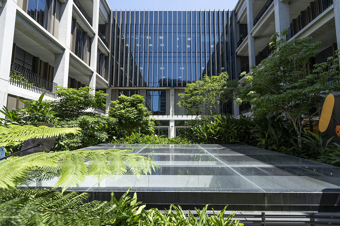 Modern lush sustainable garden in front of the hospital