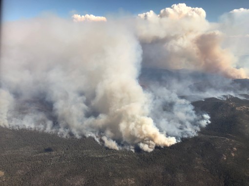 Canberra bushfires