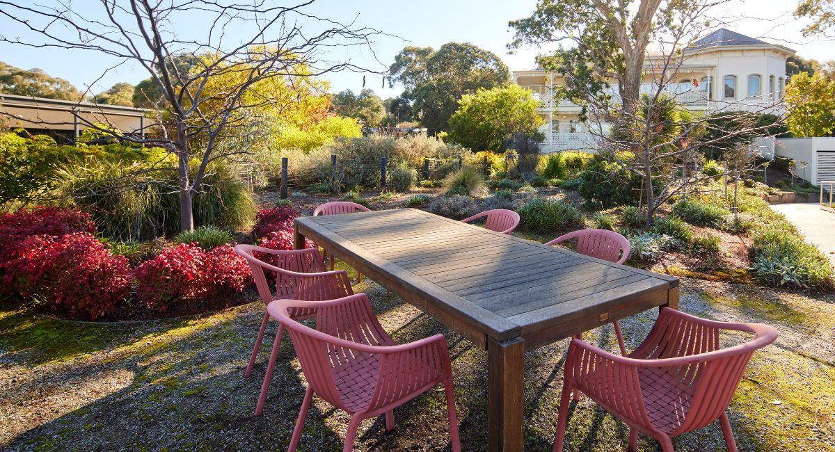 A table in the middle of a garden