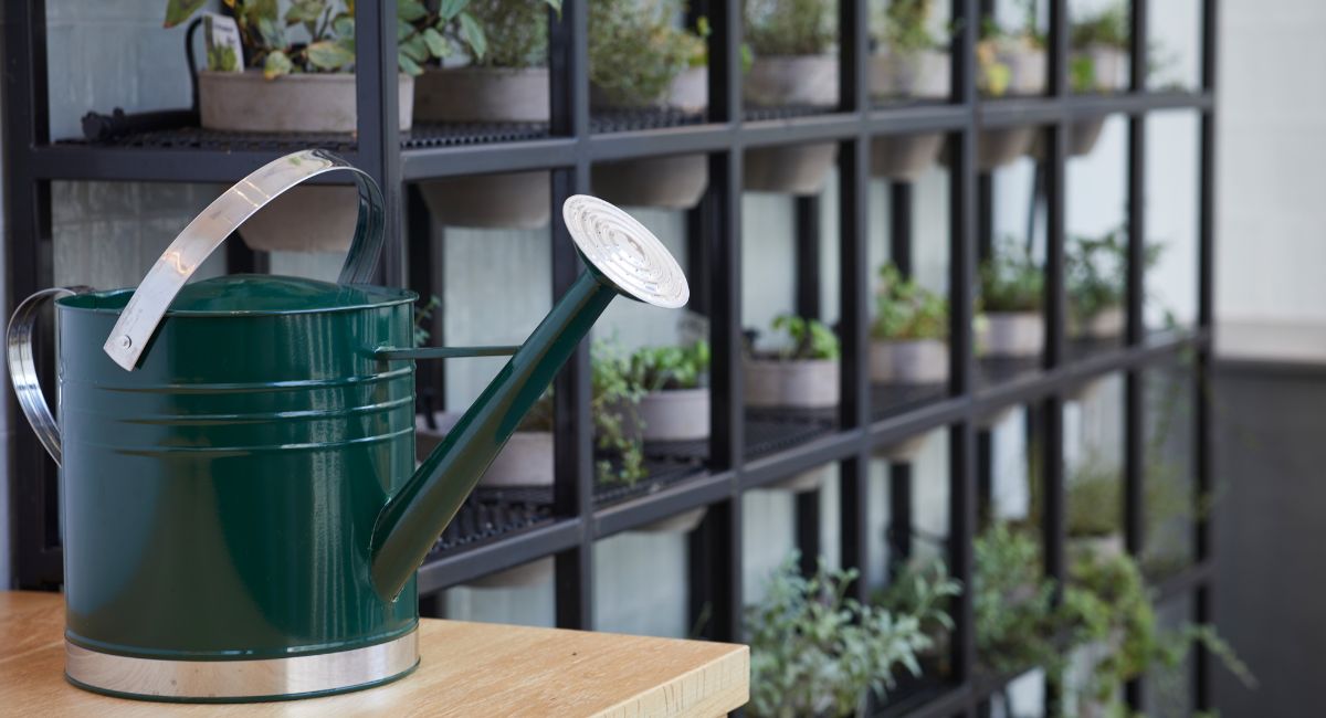 A watering can with plants behind it