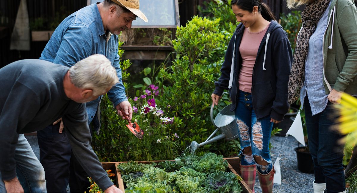 A group of people gardening
