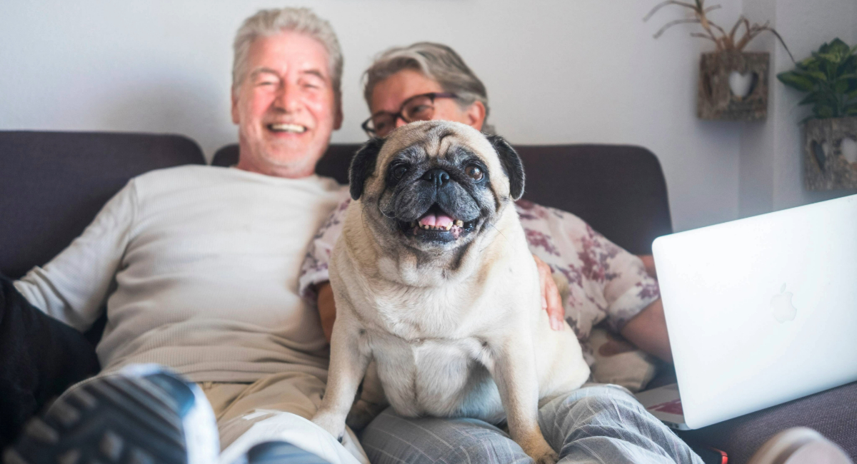 Dog licking elderly person's face