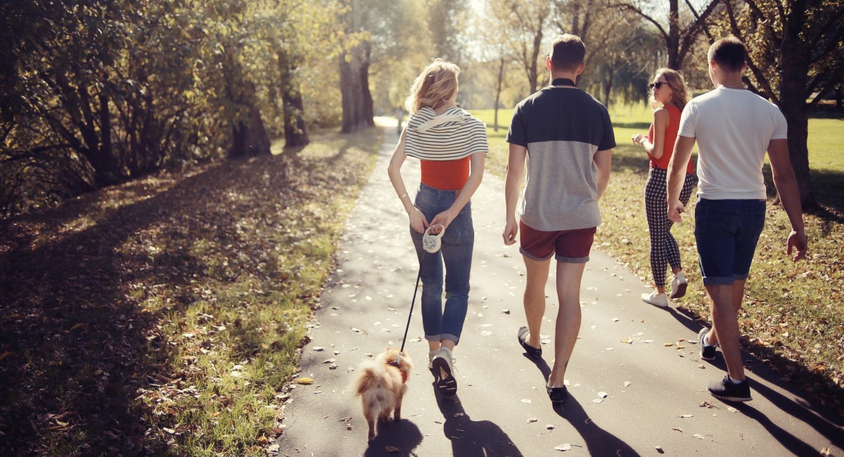 Group of men and women walking a dog through a park