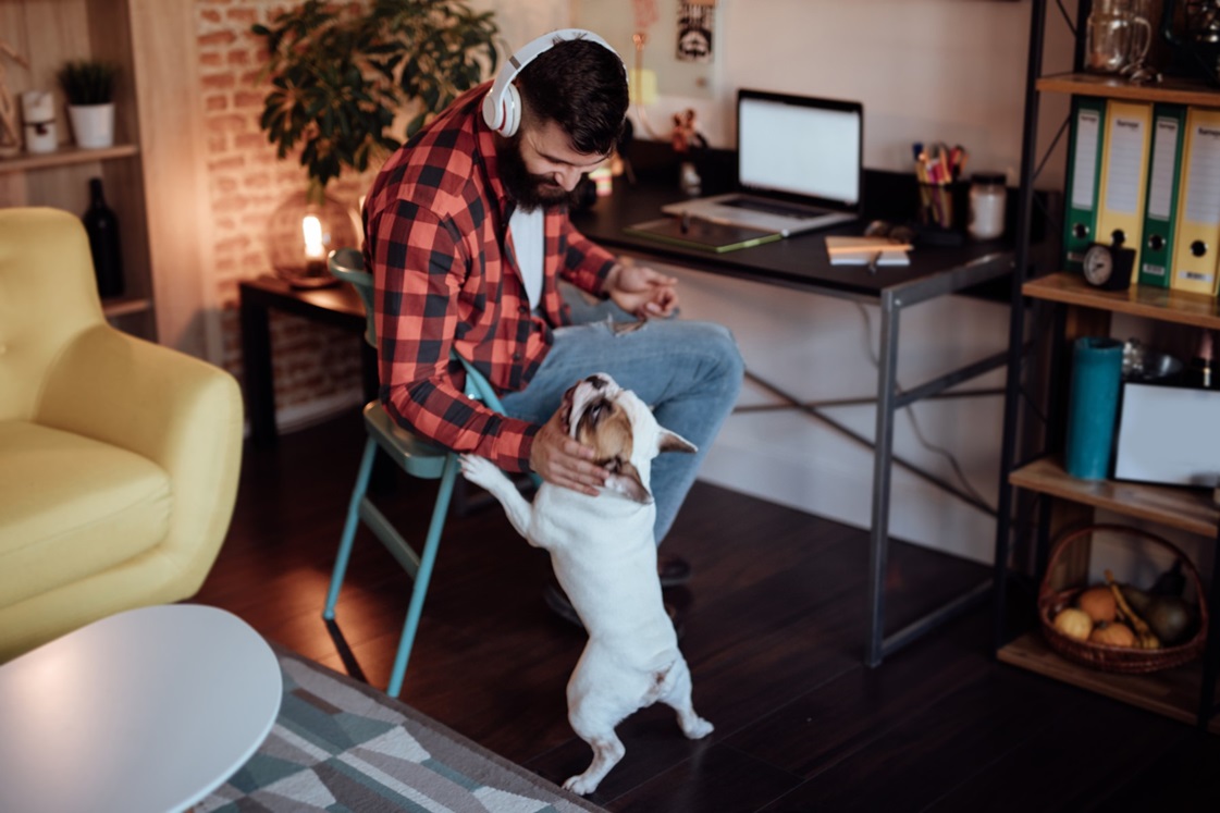 Man sitting at home office desk, reaching down to pat his dog