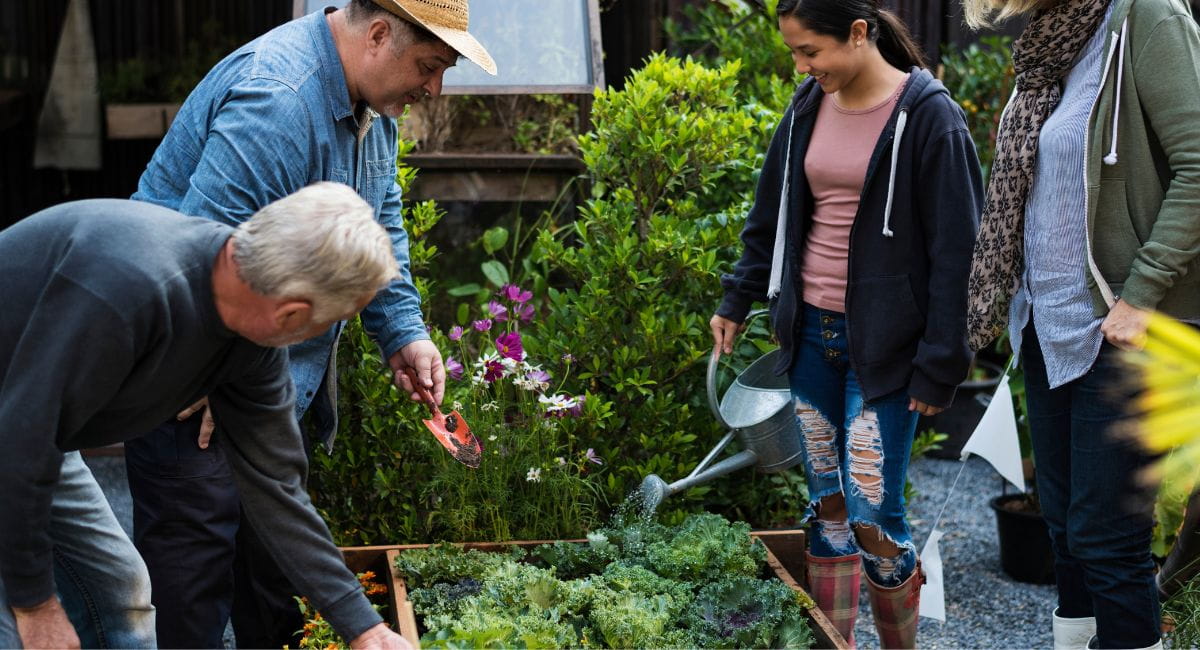 A group of people gardening