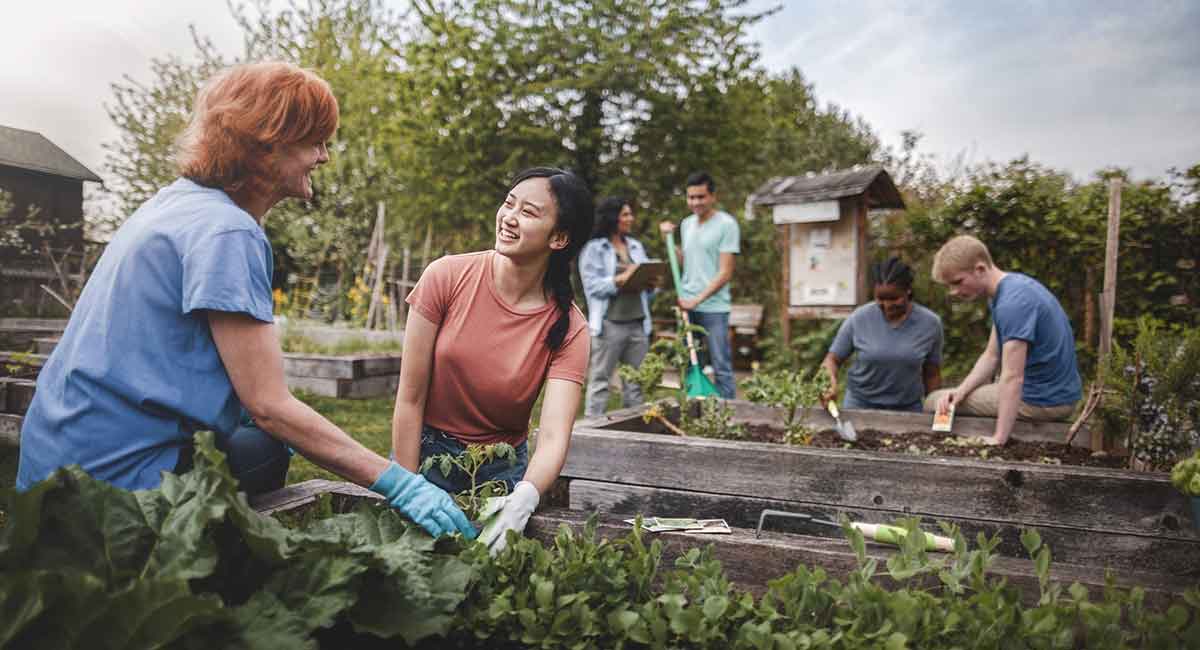 Two women talking while they plant greens in a community garden.